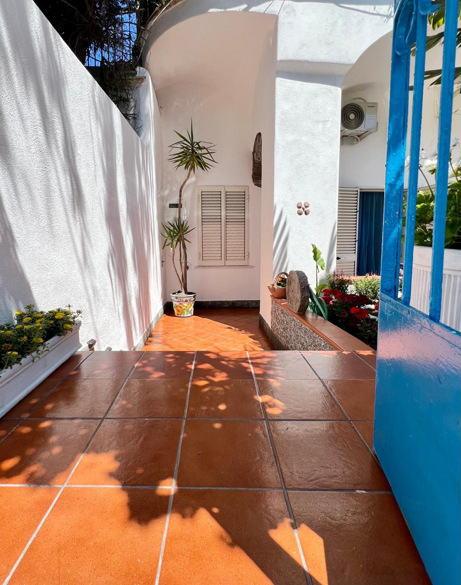 Bed and Breakfast Villino Annamaria Ischia Zewnętrze zdjęcie